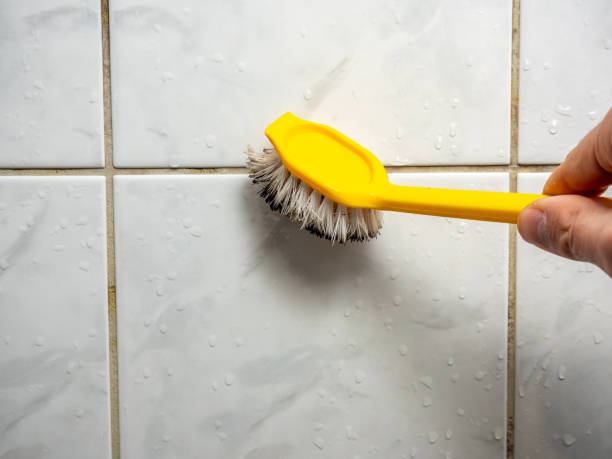 Best Black Mold Removal  in Pu, HI