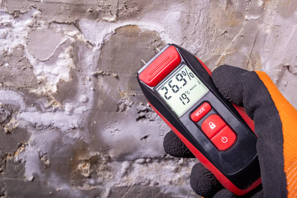 Best Emergency Mold Removal  in Pu, HI